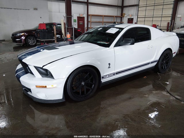 2009 FORD SHELBY GT500 1ZVHT88S295137792 Photo 1