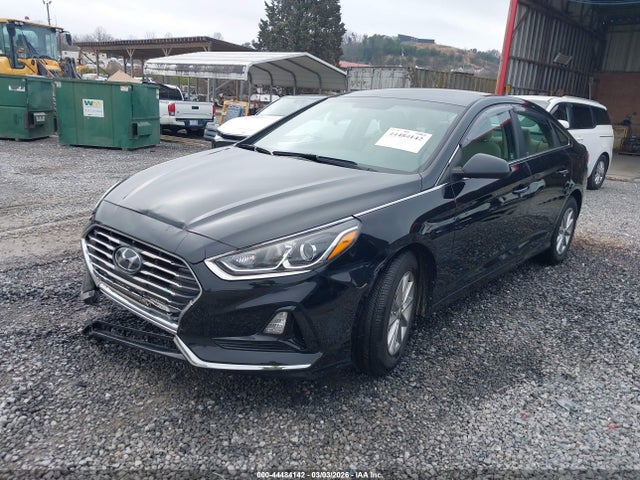 5NPE24AF9KH764753 Hyundai SONATA SE