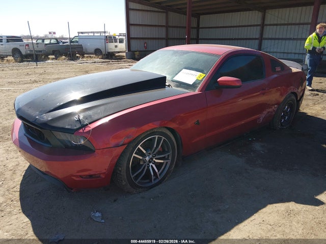 2011 FORD MUSTANG 1ZVBP8CF5B5164320 Photo 1