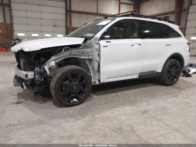 2024 KIA SORENTO 5XYRKDJF8RG289552 Photo 1