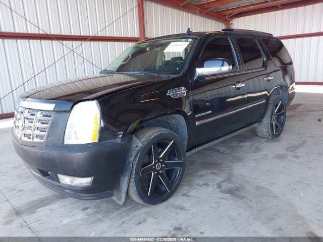 Auction sale of the 2010 Cadillac Escalade Premium, vin: 1GYUKCEF8AR214946, lot number: 44486497