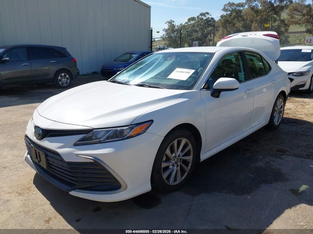 4T1C11AK1MU582474 Toyota CAMRY LE