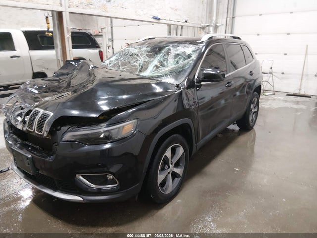 Jeep Cherokee Limited 4x4 2019 1C4PJMDX7KD439993 Image 2