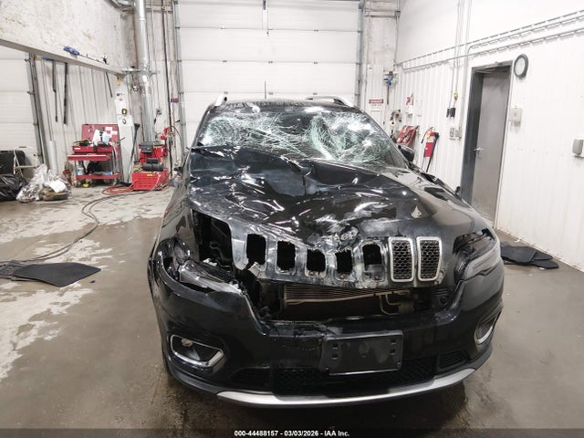 Jeep Cherokee Limited 4x4 2019 1C4PJMDX7KD439993 Image 6