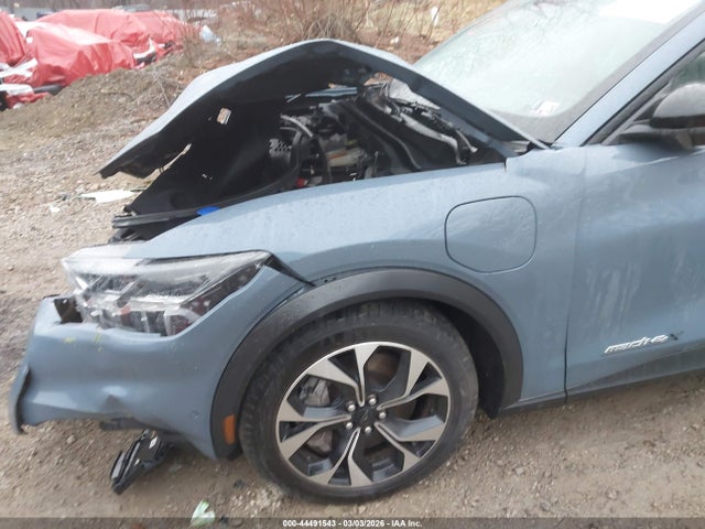 2024 FORD MUSTANG MACH-E 3FMTK1SU1RMA27789 Photo 5