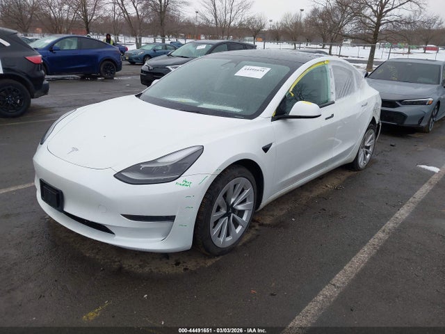 Продаж на аукціоні авто 2023 Tesla Model 3 Rear-wheel Drive, vin: 5YJ3E1EA2PF542265, номер лоту: 44491651