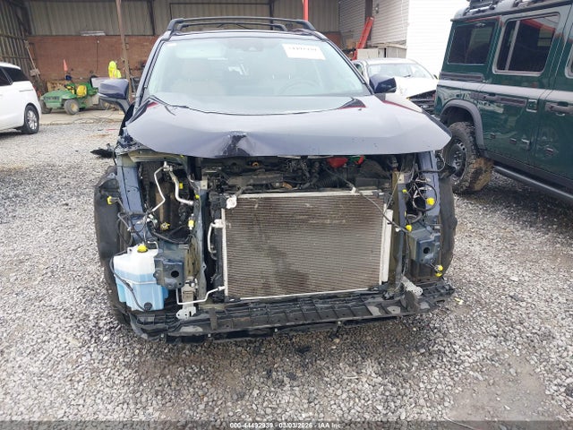 Toyota Rav4 Limited 2019 2T3N1RFV5KC036633 Image 6