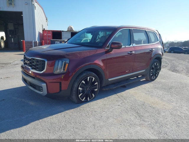 5XYP5DGC3PG411954 KIA Telluride Sx