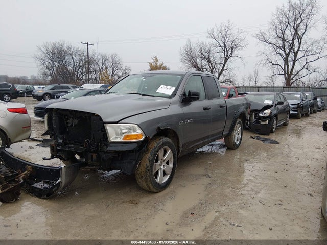 2009 DODGE RAM 1500 1D3HV18T69S726205 Photo 1