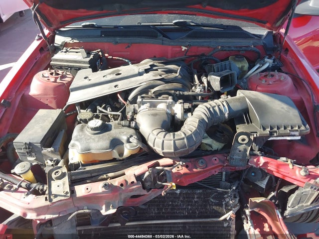 2006 FORD MUSTANG 1ZVFT82H665133700 Photo 9