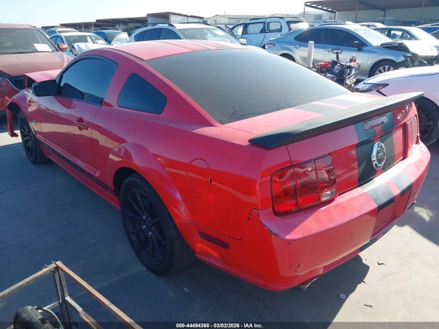 2006 FORD MUSTANG 1ZVFT82H665133700 Photo 2