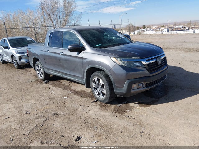 2019 5FPYK3F75KB026074 главное изображение