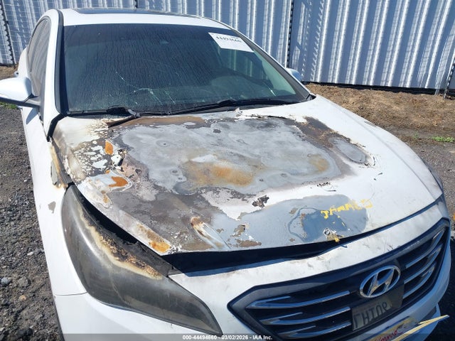 Hyundai Sonata Limited 2017 5NPE34AF4HH453933 Image 6