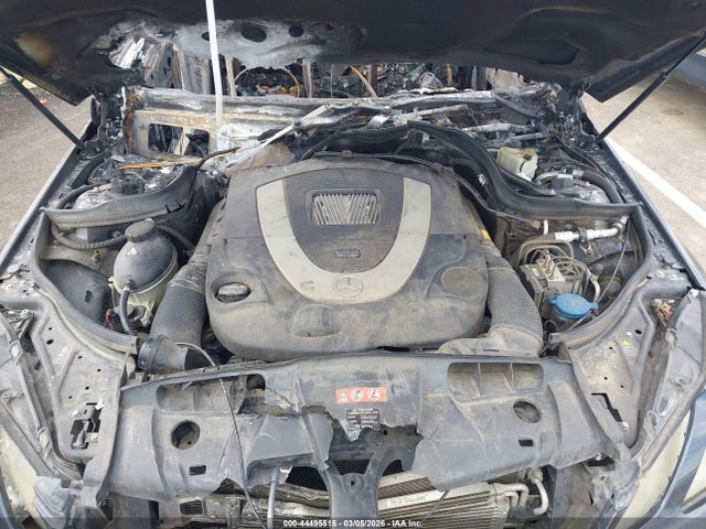 2010 MERCEDES-BENZ E 550 WDDKJ7CB7AF004868 Photo 9