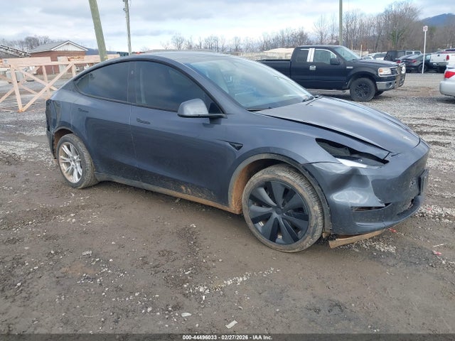 2023 TESLA MODEL Y 7SAYGDEE8PA206060 Photo 0