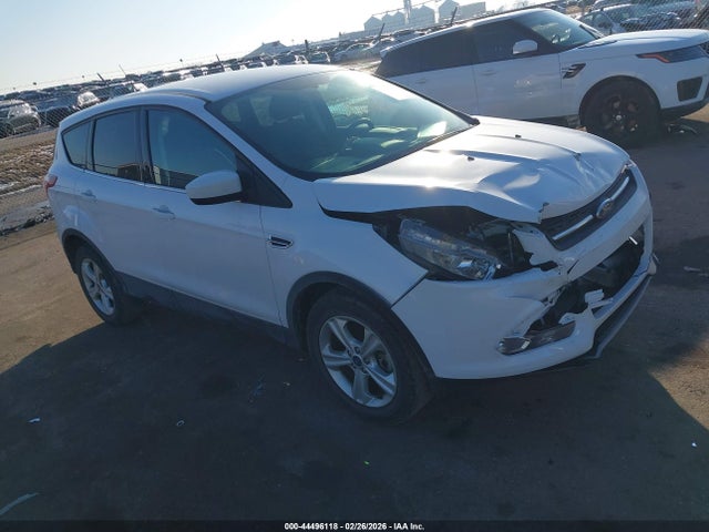 Ford ESCAPE SE 2014 1FMCU9G98EUC21948 main image