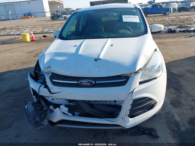 Ford ESCAPE SE 2014 1FMCU9G98EUC21948 Image 12