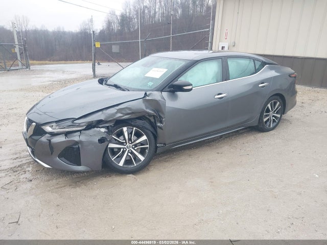 2020 NISSAN MAXIMA 1N4AA6CV4LC370467 Photo 1