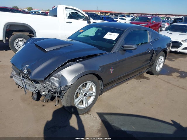 1ZVBP8AM6E5275108 Ford Mustang V6