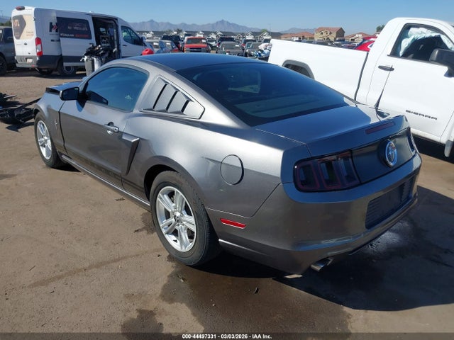 1ZVBP8AM6E5275108 Ford Mustang V6