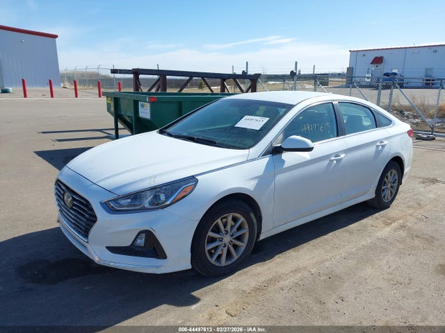 5NPE24AFXJH709064 Hyundai SONATA SE