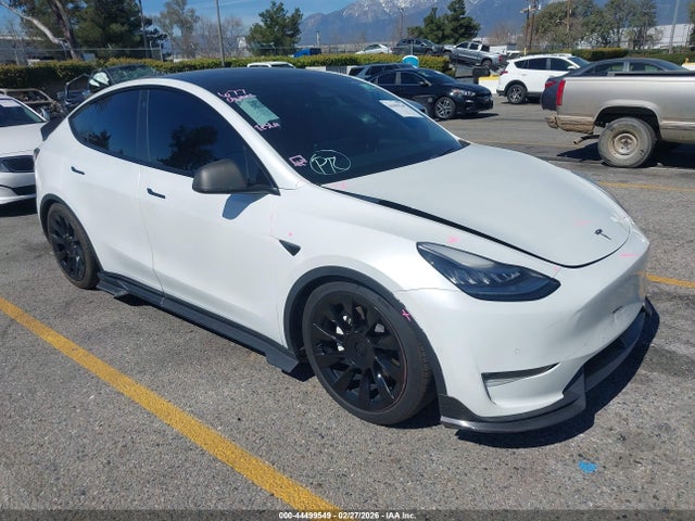 2020 TESLA MODEL Y 5YJYGDEE8LF022344 Photo 0