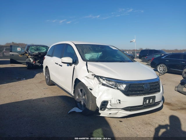 2024 HONDA ODYSSEY 5FNRL6H50RB057492