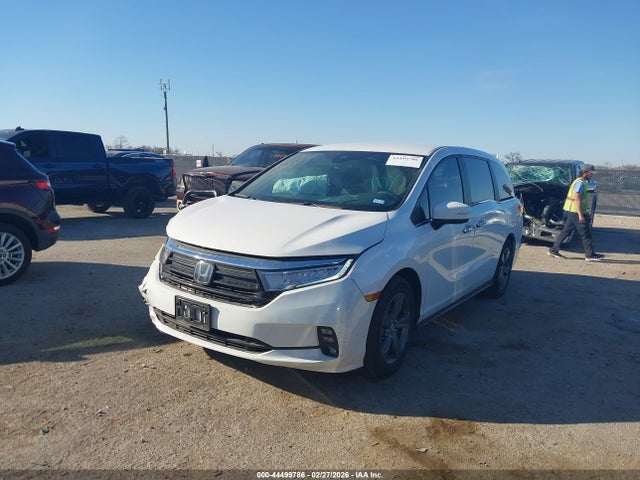 2024 HONDA ODYSSEY 5FNRL6H50RB057492 Photo 1