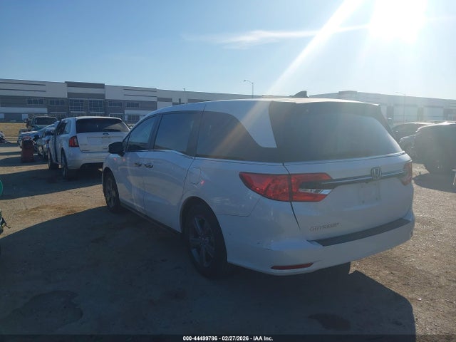 2024 HONDA ODYSSEY 5FNRL6H50RB057492 Photo 2