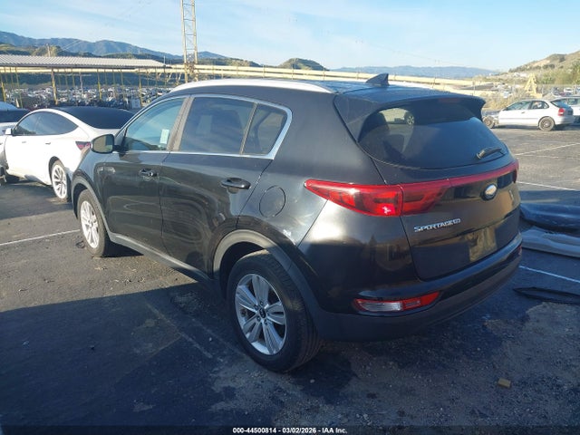KIA Sportage Lx 2017 KNDPM3ACXH7221265 Image 3