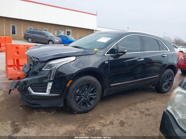 2023 Cadillac Xt5 Fwd Luxury მანქანა იყიდება აუქციონზე, vin: 1GYKNAR46PZ146179, აუქციონის ნომერი: 44501809