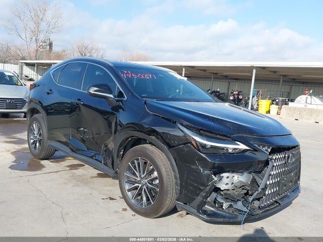 2024 LEXUS NX 250 2T2ADCAZ8RC011849