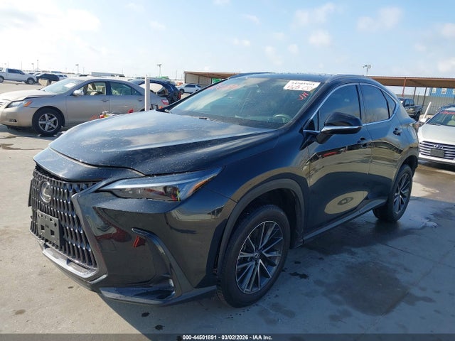 2024 LEXUS NX 250 2T2ADCAZ8RC011849 Photo 1