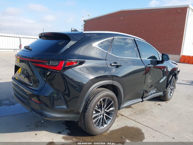 2024 LEXUS NX 250 2T2ADCAZ8RC011849 Photo 3