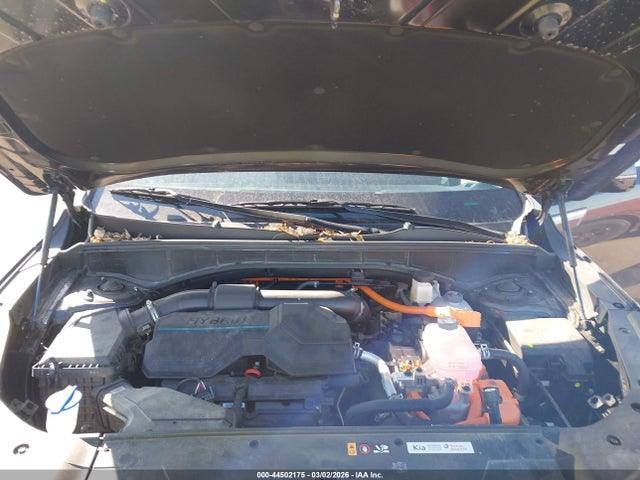 KNDRHDJG4S5295659 KIA Sorento Hybrid Ex
