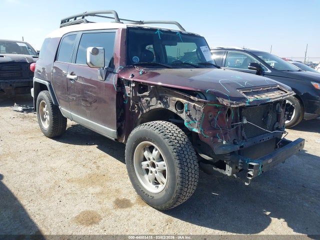 2007 TOYOTA FJ CRUISER JTEZU11F770009742