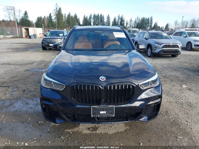 5UXJU4C00P9P69663 BMW X5 M50i