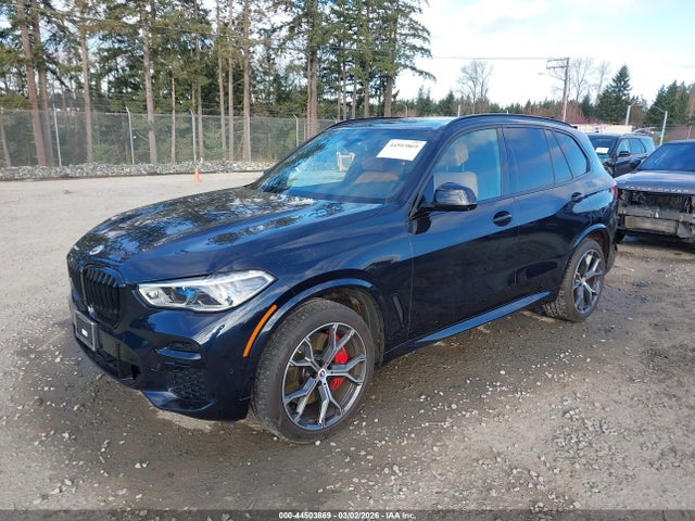 5UXJU4C00P9P69663 BMW X5 M50i