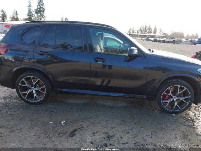 5UXJU4C00P9P69663 BMW X5 M50i