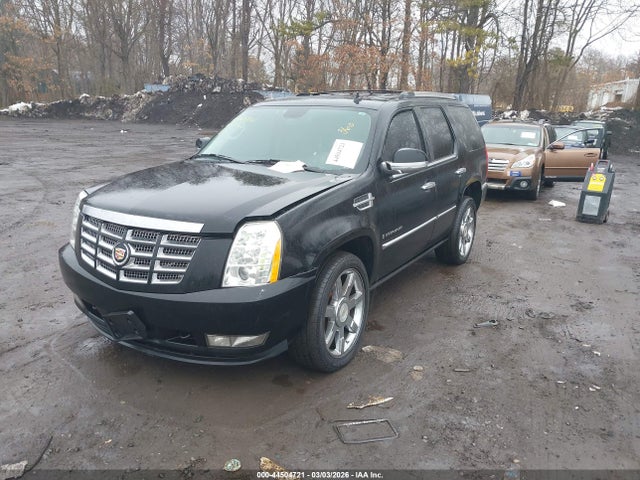 Продаж на аукціоні авто 2010 Cadillac Escalade Premium, vin: 1GYUKCEF3AR248230, номер лоту: 44504721