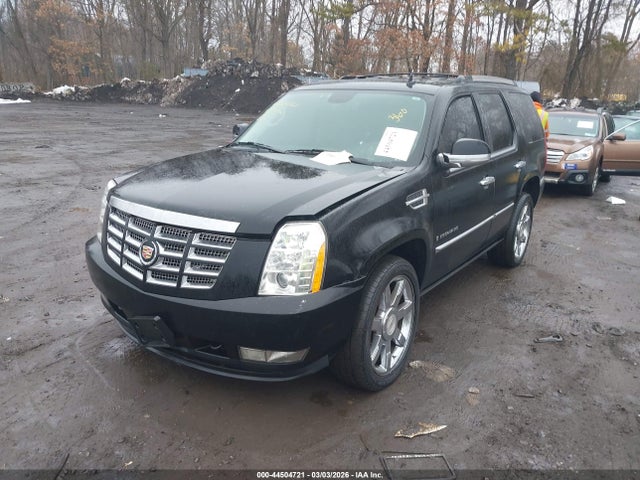 Продаж на аукціоні авто 2010 Cadillac Escalade Premium, vin: 1GYUKCEF3AR248230, номер лоту: 44504721