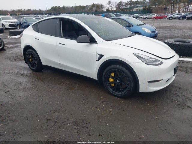 2021 TESLA MODEL Y 5YJYGDEE5MF185082 Photo 0