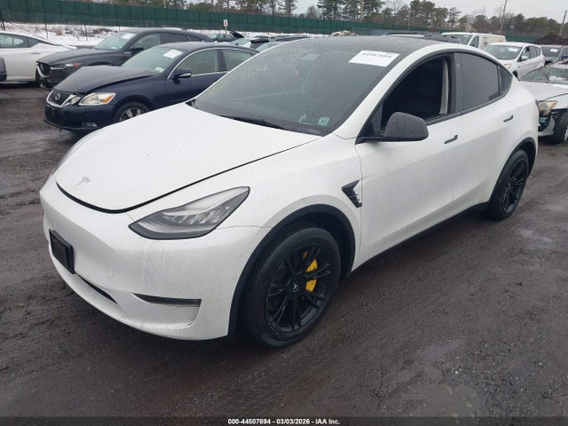 2021 TESLA MODEL Y 5YJYGDEE5MF185082 Photo 1