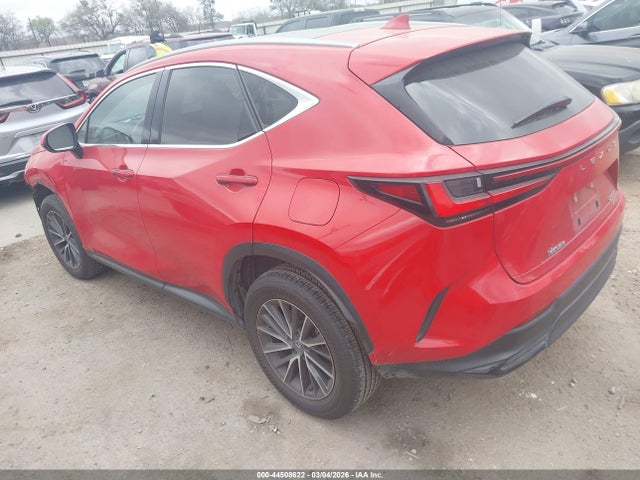 2024 LEXUS NX 350 JTJHGCEZ9R2012864 Photo 2