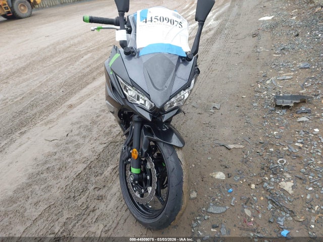 ML5EXER11TDAG7299 Kawasaki Ex650 R