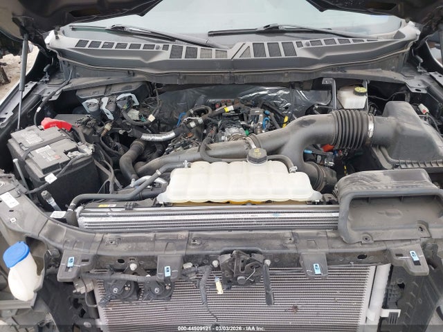Aukcja sprzedaży 2024 Ford F-150 Xlt, vin: 1FTEW3KP1RFB94743, numer aukcji: 44509121