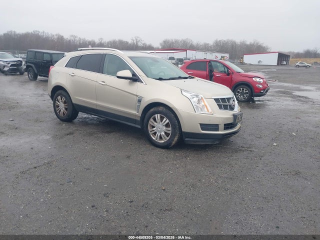 Продажа на аукционе авто 2010 Cadillac Srx Luxury Collection, vin: 3GYFNDEY3AS622856, номер лота: 44509205