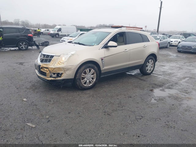 Продажа на аукционе авто 2010 Cadillac Srx Luxury Collection, vin: 3GYFNDEY3AS622856, номер лота: 44509205