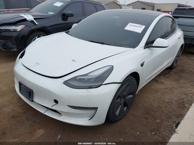 Продаж на аукціоні авто 2023 Tesla Model 3 Rear-wheel Drive, vin: 5YJ3E1EA1PF454131, номер лоту: 44509457