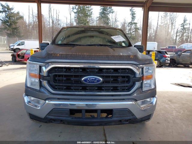 1FTFW1E54NFB99397 Ford F-150 Xlt